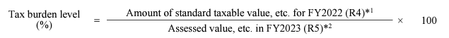 Balancing of Tax Burden Levels 